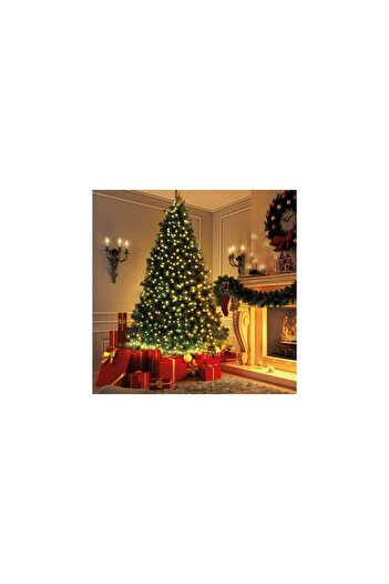 Mercaton String Lights 50 LEDs Warm White Powered by Mains 5m 8 Modes