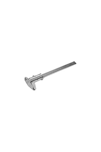 richmann 150 mm Steel Caliper,