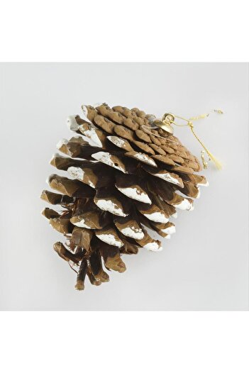 ZERO LAND Sptrns 6-Piece Pine Cone Christmas (133154) Tree Ornament-Brown