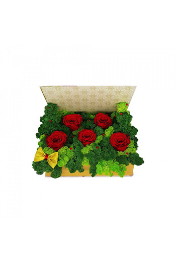 velve Arrangement of cryogenic roses on a bed of stabilized lichens in a book-type box, Gold