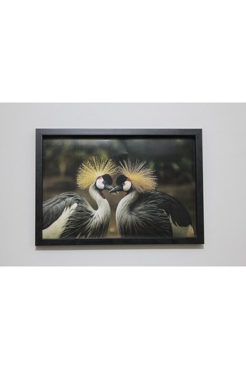LİFE GLOBAL Picture Frame Black 20X30 with Picture and Plexi Protection One Piece Bird