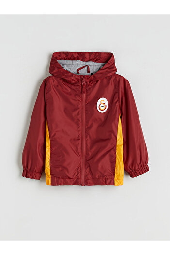 LC Waikiki New Season Hooded Printed Boys' Raincoat