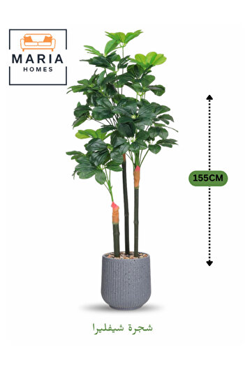 MARIA HOMES Artificial Schefflera Tree 155 cm – Indoor Decorative Plant with 3 Trunks in Grey Pot