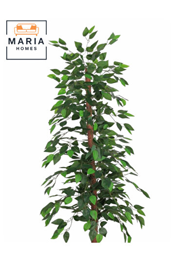 MARIA HOMES Artificial Ficus Tree 155 cm – Decorative Green Plant with gray Plastic Pot for home & office