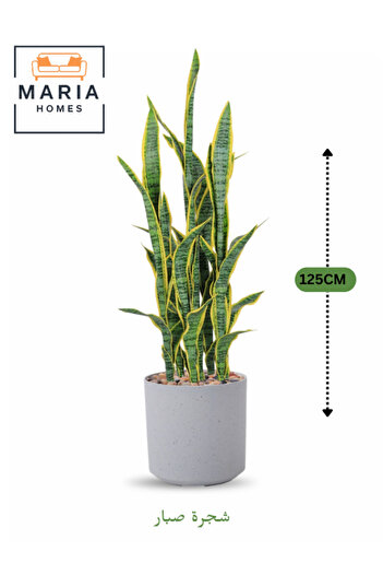 MARIA HOMES Artificial Snake Plant 125 cm – Indoor Decorative Plant with Light Gray Pot for home & office decor