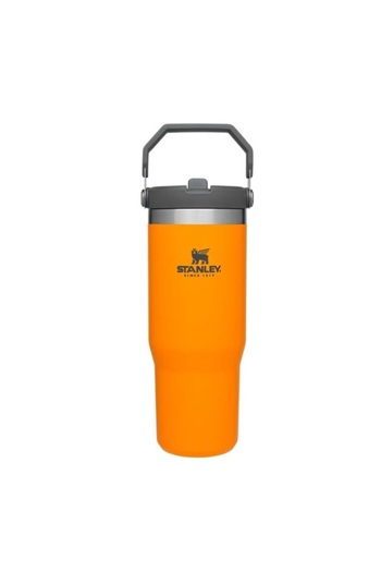 Generic Stainless steel Tumbler with Straw – Leakproof, Insulated, Cold 48H, BPA-Free 30 oz
