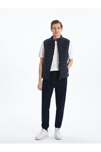 LC Waikiki Standard Mold Stand Collar Men's Puffer Vest