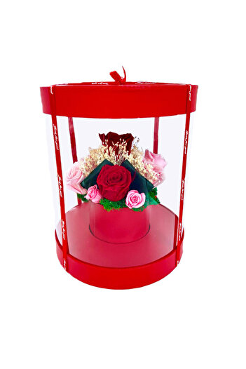 velve Floral arrangement in cylindrical box, 11 cryogenic roses on a bed of stabilized lichens, red