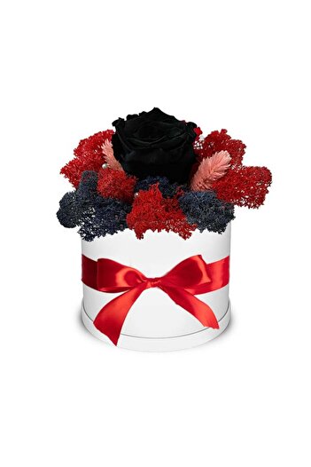 velve Trandafir criogenat Autum Vibes decorat in cutie alba cu licheni naturali stabilizati, Negru