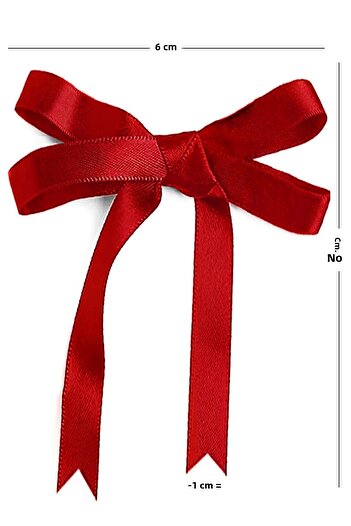 hapshoe 10 Pieces Red Satin Bow Decoration Small Ribbon Set