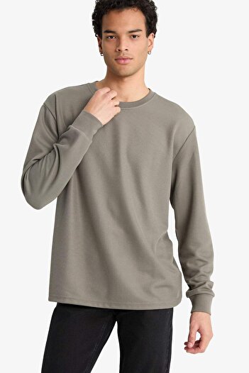 DeFacto Regular Fit Crew Neck Long Sleeve Body F2263Ax25Au