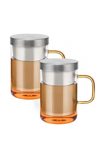 Home Zone Glass Tea Cups with Stainless Steel Strainer Lid, Set of 2, Transparent Glass with Handle, Capacity