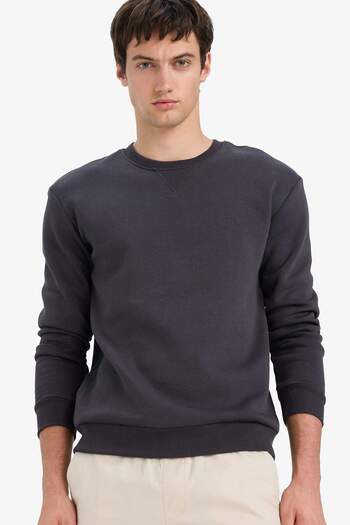 DeFacto Regular Fit Crew Neck Basic Plain Thick Sweatshirt T3777Az25Au