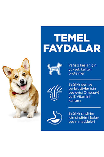 Hills Science Plan Hill’s Scıence Plan Adult Small & Mini Chicken Küçük Irk Tavuklu Yetişkin Köpek Maması 3 Kg