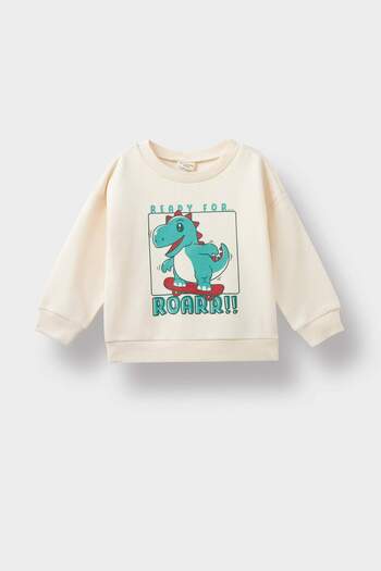 DeFacto Baby Boy Crew Neck Dinosaur εμπριμέ μαλακό γούνινο φούτερ E9230A525AU