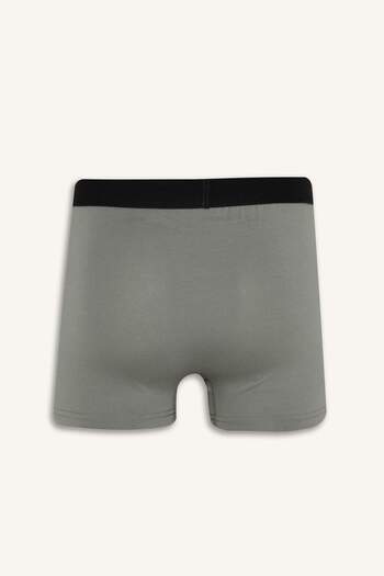DeFacto Regular Fit 3'lü Boxer C9549AX25AU