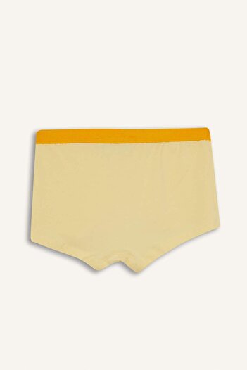 DeFacto Kız Çocuk Looney Tunes 2'li Boxer F8647A825AU