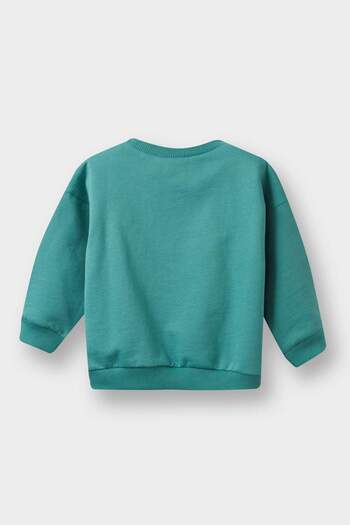 DeFacto Baby Boy Crew Neck Μαλακό γούνινο φούτερ A7433A525WN