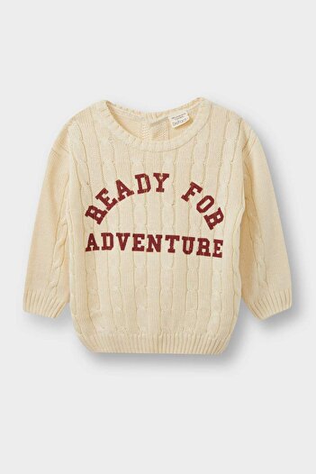 DeFacto Baby Boy Crew Neck Printed Knitwear Sweater F2578A525Au