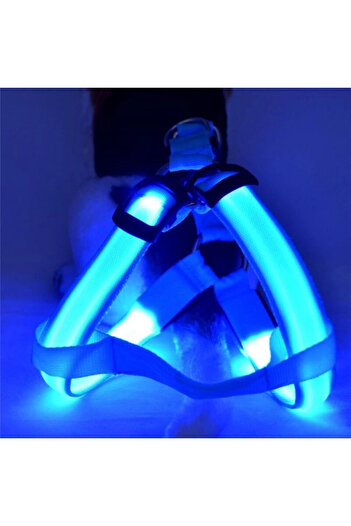 DailyTech Adjustable LED Lighted Reflective Pet Dog Cat Body Chest Collar Belt
