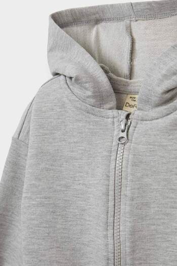 DeFacto Baby Boy Hooded Zippered Sweatshirt E8697A525Au