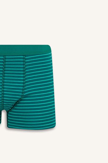 DeFacto Regular Fit Çizgili 3'lü Boxer E7213AX25SM