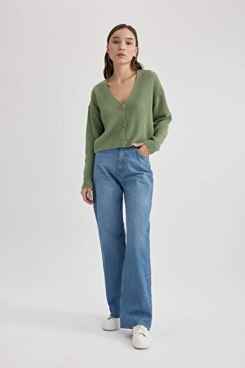 DeFacto Regular fit v neck cardigan b7867axns
