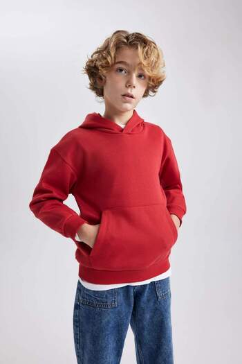 DeFacto Boy's Hooded Regular Fit Sweatshirt