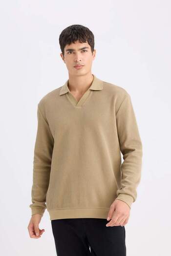 DeFacto Regular Fit Polo Neck Sweatshirt D7448Ax25Sp