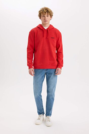 DeFacto Regular Fit Hooded Printed Sweatshirt D2693Ax24Au