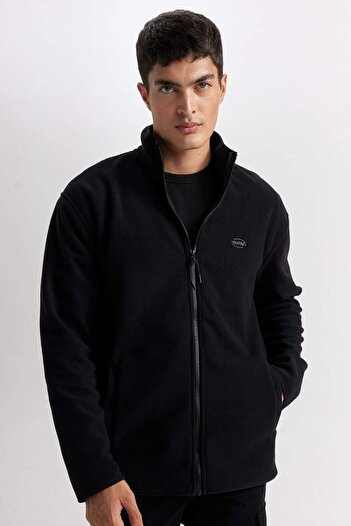 DeFacto Φούτερ Relax Fit Stand Collar Fleece με φερμουάρ D2349AX24AU