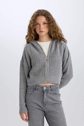 DeFacto Regular Fit Kapüşonlu Fermuarlı Triko Hırka E2269AXNS