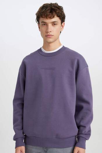 DeFacto Bedrucktes Box-Fit-Sweatshirt mit Rundhalsausschnitt X8282az24au