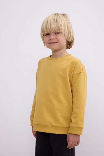 DeFacto Baby Boy Crew Neck Soft Furry Basic Plain Sweatshirt A7433A524Wn