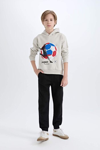 DeFacto 2-Piece Set for Boy - Thick Hooded Printed Sweatshirt and Elastic Sweatpants D6870A824Cw