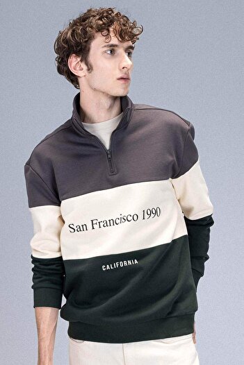 DeFacto Relax Fit Stehkragen mit Reißverschluss, bedrucktes, dickes Sweatshirt D2562AX24AU