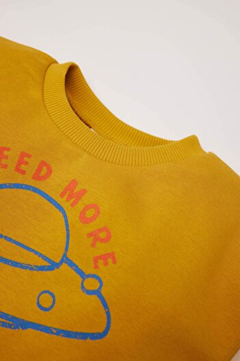 DeFacto Erkek Bebek Bisiklet Yaka İçi Yumuşak Tüylü Baskılı Sweatshirt D6755A524WN