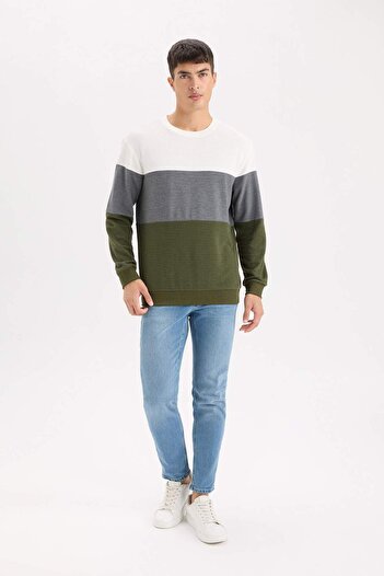 DeFacto Φούτερ με κανονική εφαρμογή Crew Neck Color Block Jacquard D5393AX24AU