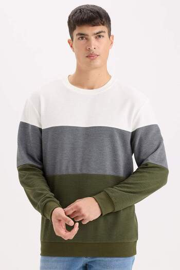 DeFacto Φούτερ με κανονική εφαρμογή Crew Neck Color Block Jacquard D5393AX24AU