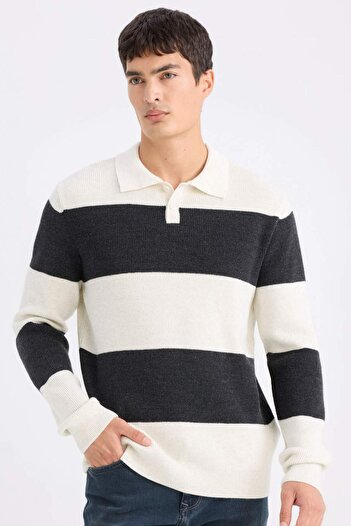 DeFacto Standard Fit Polo Neck Striped Knitwear Sweater D3590Ax24Wn