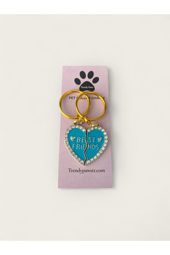 TRENDY PAWS Cat & Dog Collar Charm / Accessory