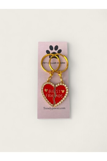TRENDY PAWS Cat & Dog Collar Charm / Accessory
