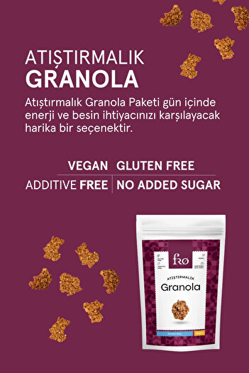 FRO 3 Pack Snack Granola Vegan Gluten Free Sugar Free Snack Healthy Snack Granola