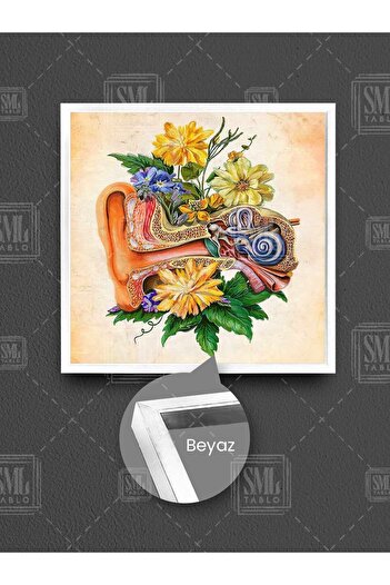 SML TABLO Ear Anatomy Ear Nose and Throat Doctor Decor Flowers Ent Square Canvas Painting