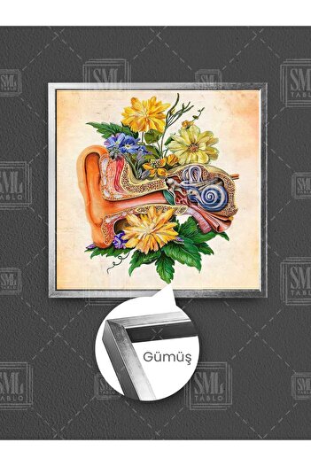 SML TABLO Ear Anatomy Ear Nose and Throat Doctor Decor Flowers Ent Square Canvas Painting