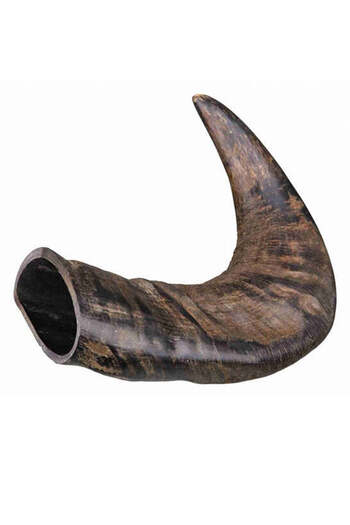 Trixie Natural Buffalo Chewing Horn Dental Dog Treats