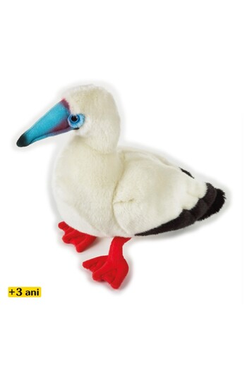 venturelli Jucarie de plus Pasare picioare rosii Galapagos 35 cm