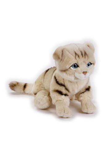 OEM Plush toy Scottish Cat Kitty My puppy 25 cm