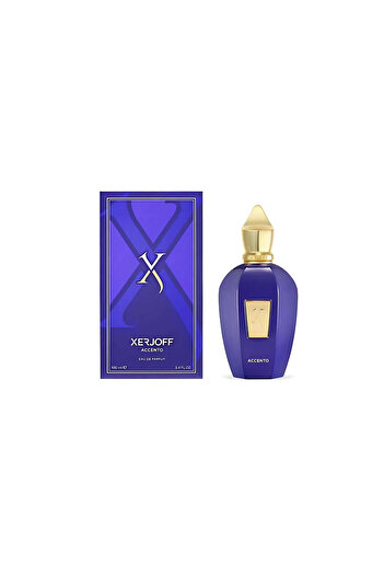 Xerjoff Xerjoff Accento Perfume - Unisex - Eau de Parfum - 100 ml