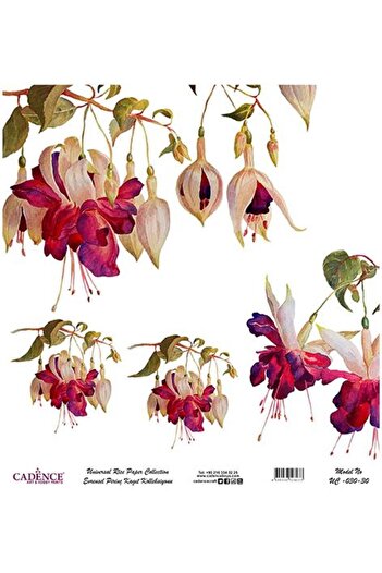 Cadence Universal Rice Decoupage Paper - Uc-030